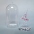 Swarovski Crystal | Crystal Moments | Dancers | Ballerina under Bell jar | 5428649